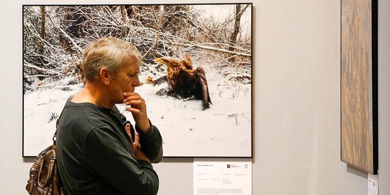 Фотоохота продолжается: в столице идет прием конкурсных фотографий дикой природы Москвы