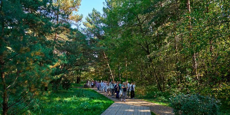 Замедлиться и вдохнуть полной грудью: в «Московском долголетии» начались занятия по лесотерапии