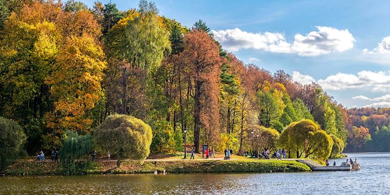 Парки-рекордсмены Москвы: где увидеть вековые деревья и старинные сооружения