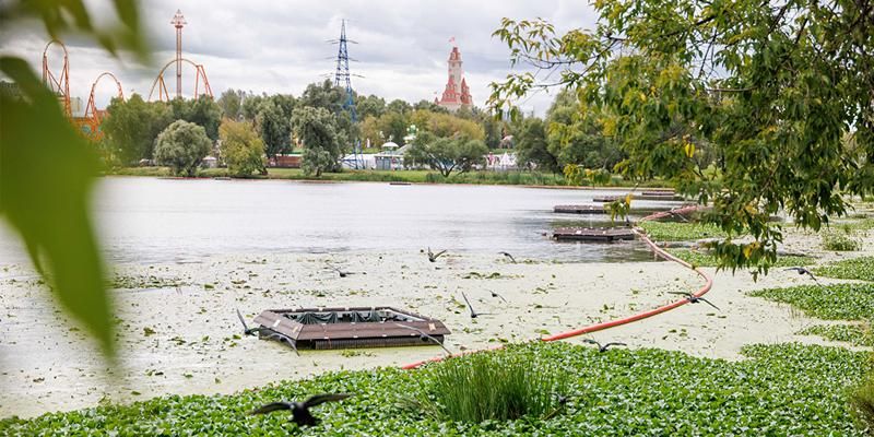В Москве разработали плавучие модули для сокращения распространения сине-зеленых водорослей